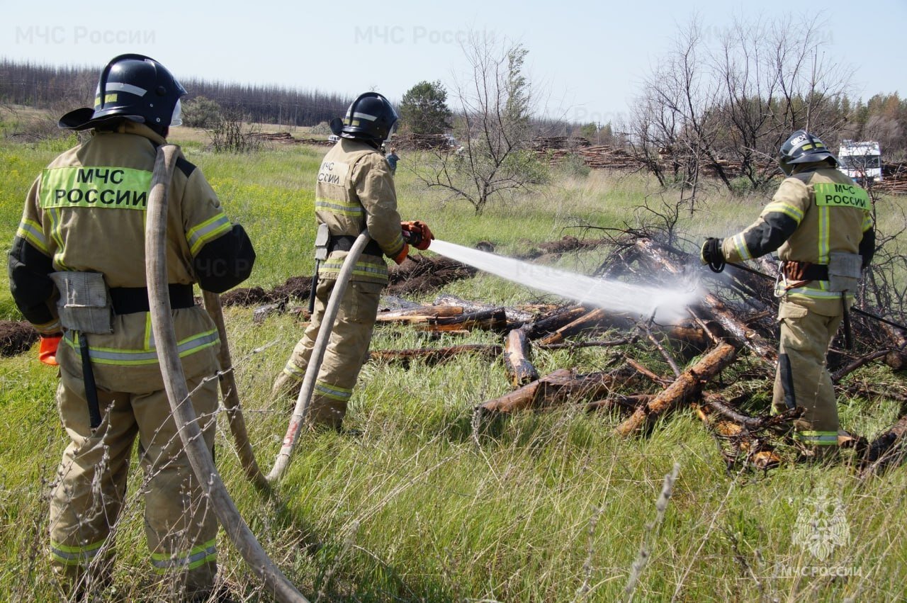 В заповедниках и национальных парках продолжаются мероприятия по обеспечению пожарной безопасности в лесах Весь весенний период на особо охраняемых  - фото 7
