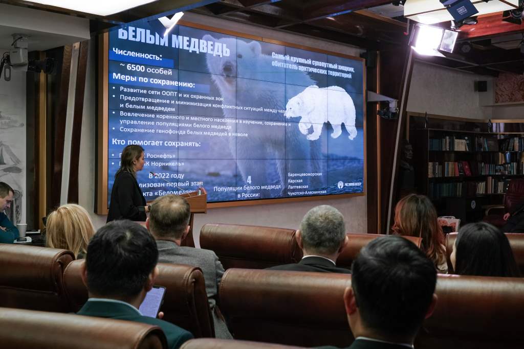 Международная научно-практическая конференция «Вселенная белого медведя»: изучить, чтобы сохранить - фото 3