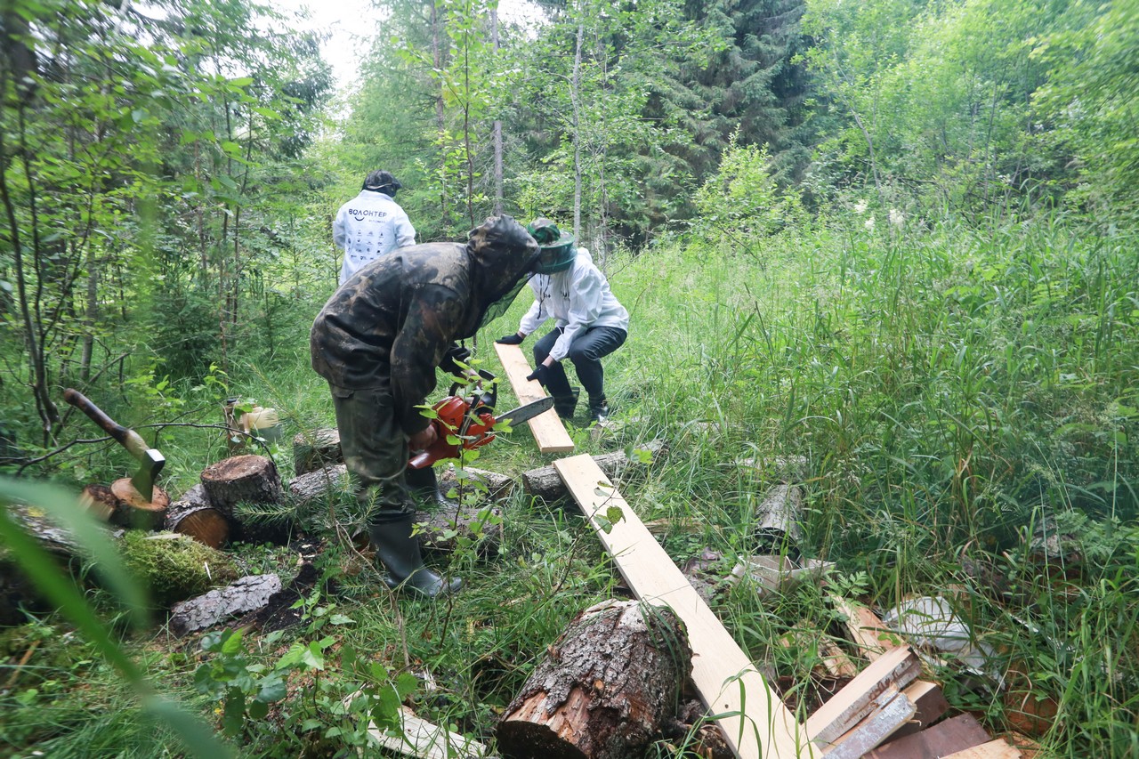 Всероссийский лагерь эковолонтёров «ЭКОДЕМИЯ» начнёт работу в июле - фото 3