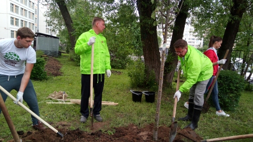 В рамках акции «Миллион деревьев» руководитель Департамента природопользования Москвы Антон Кульбачевский высадил деревья вместе с журналистами телеканала «Москва-24» и волонтерами - фото 5