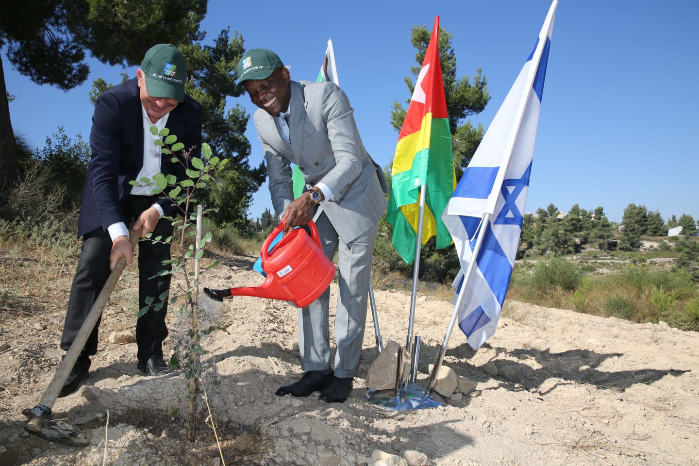 Министр иностранных дел Того посадил дерево в Израиле - фото 1