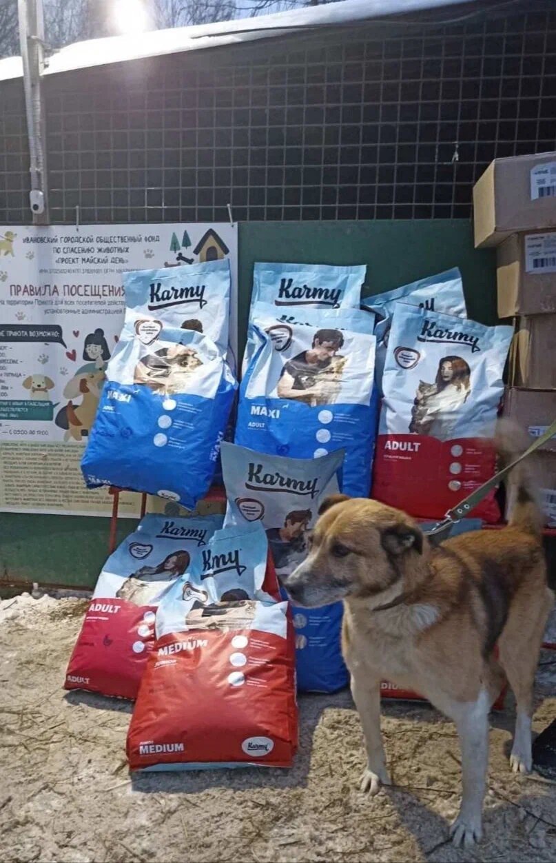 Karmy подарили более 1,5 тонн корма российским приютам для животных - фото 1