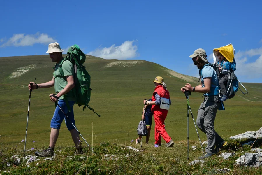 Число посетителей Кавказского заповедника в 2022 году превысило рекорд 2021 года - фото 12