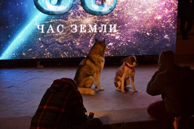 WWF России отчитался о проведении «Часа Земли» - фото 52