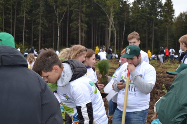 Губернатор Московской области Андрей Воробьев пригласил журнал "ЭкоГрад" на акцию «Наш лес. Посади свое дерево». Мы приехали, и вот что из этого получилось - фото 18