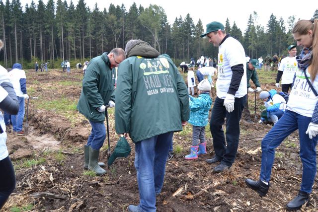 Губернатор Московской области Андрей Воробьев пригласил журнал "ЭкоГрад" на акцию «Наш лес. Посади свое дерево». Мы приехали, и вот что из этого получилось - фото 20