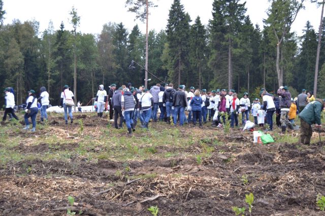 Губернатор Московской области Андрей Воробьев пригласил журнал "ЭкоГрад" на акцию «Наш лес. Посади свое дерево». Мы приехали, и вот что из этого получилось - фото 50