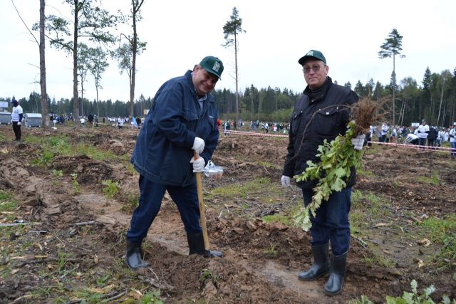 Губернатор Московской области Андрей Воробьев пригласил журнал "ЭкоГрад" на акцию «Наш лес. Посади свое дерево». Мы приехали, и вот что из этого получилось - фото 55
