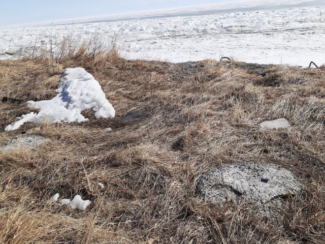 Экологи Иркутской области и Бурятии написали совместное обращение в Росприроднадзор - фото 18