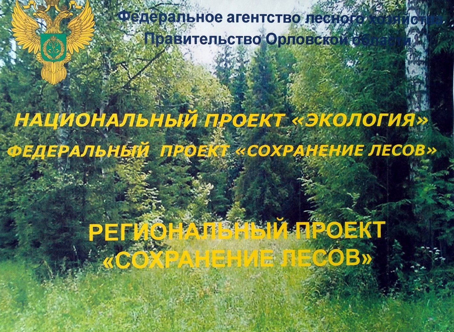 Подписано соглашение о реализации регионального проекта «Сохранение лесов» на территории Орловской области - фото 1