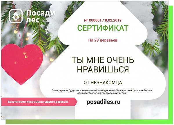  Укорени свою любовь на PosadiLes.ru! - фото 3