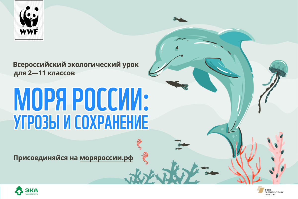  "ЭкоГрад": Российских учителей приглашают провести интерактивный экоурок «Моря России» - фото 2