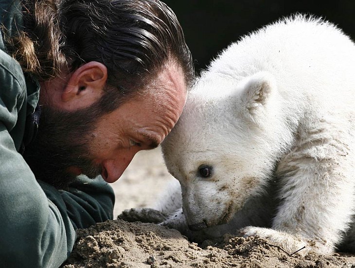 Международный день полярного медведя - фото 11