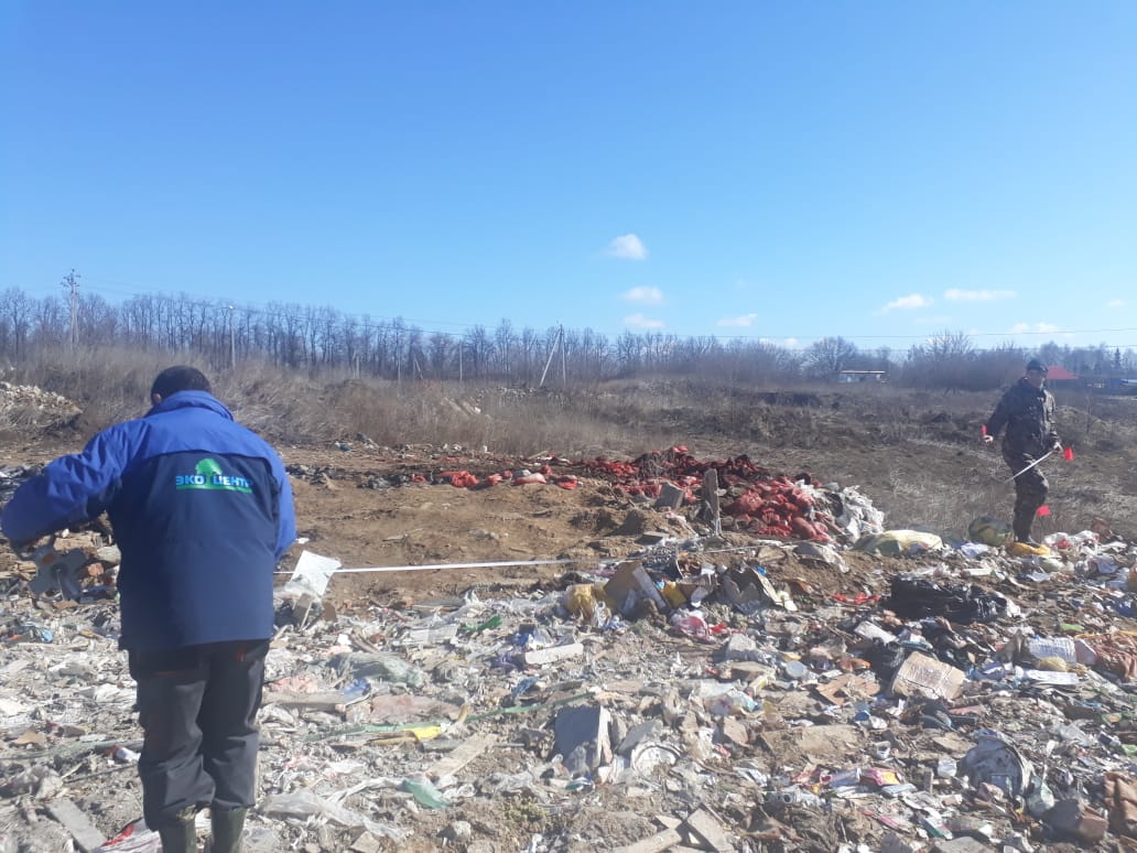 После обращения ОНФ минэкологии Подмосковья рекомендовало местным чиновникам организовать вывоз отходов со свалки в Тимонино - фото 5