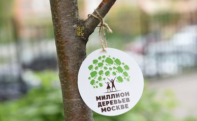 22 апреля, в понедельник, в Москве стартует весенний этап акции «Миллион деревьев» - фото 1