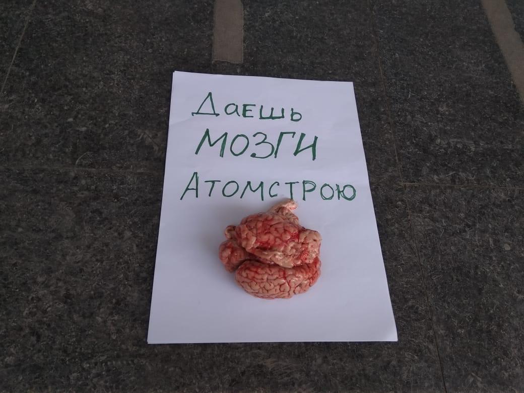 В Екатеринбурге Защитники березовой рощи провели пикет и подарили застройщику мозги - фото 1