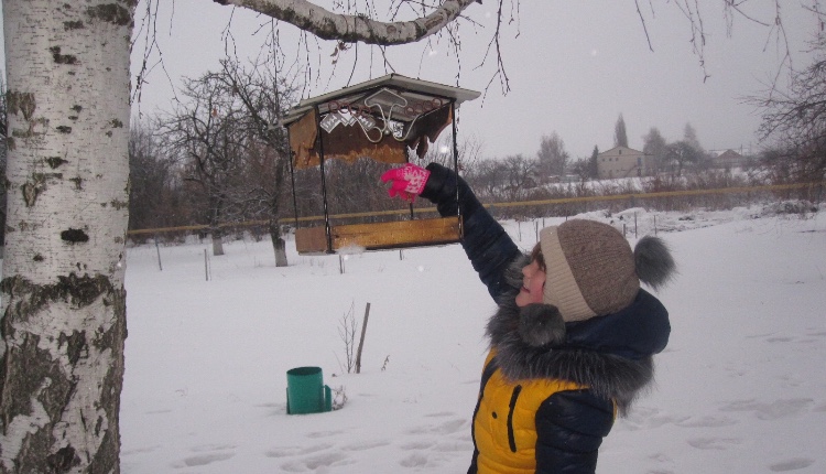 Работники лесничеств Белгородской области учат школьников заботиться о пернатых - фото 4