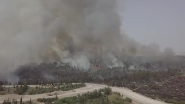 МЧС РФ готовится тушить лесные пожары в Израиле - фото 1