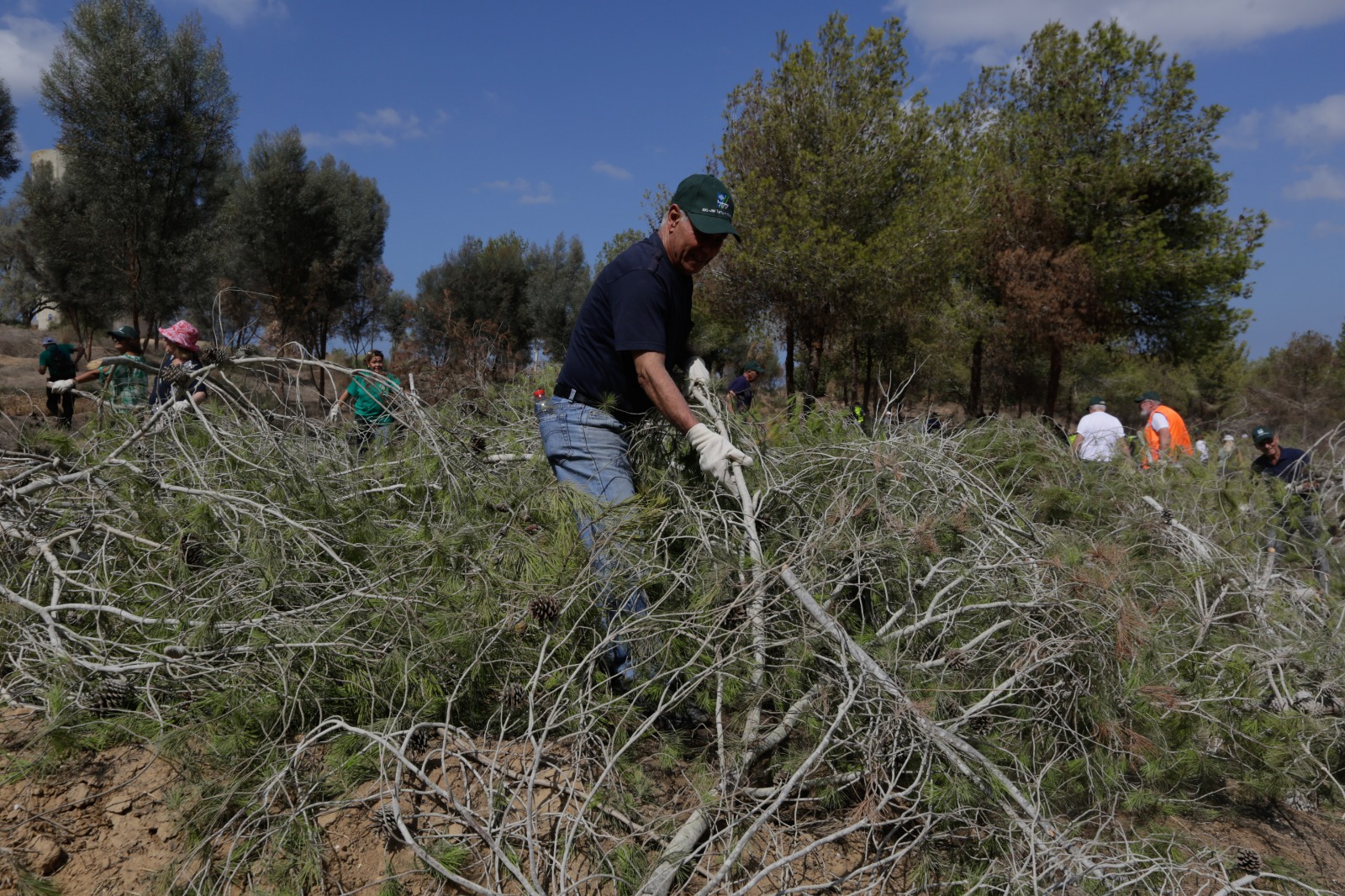 Израиль: волонтеры спасают леса в районе границы с Газой - фото 1