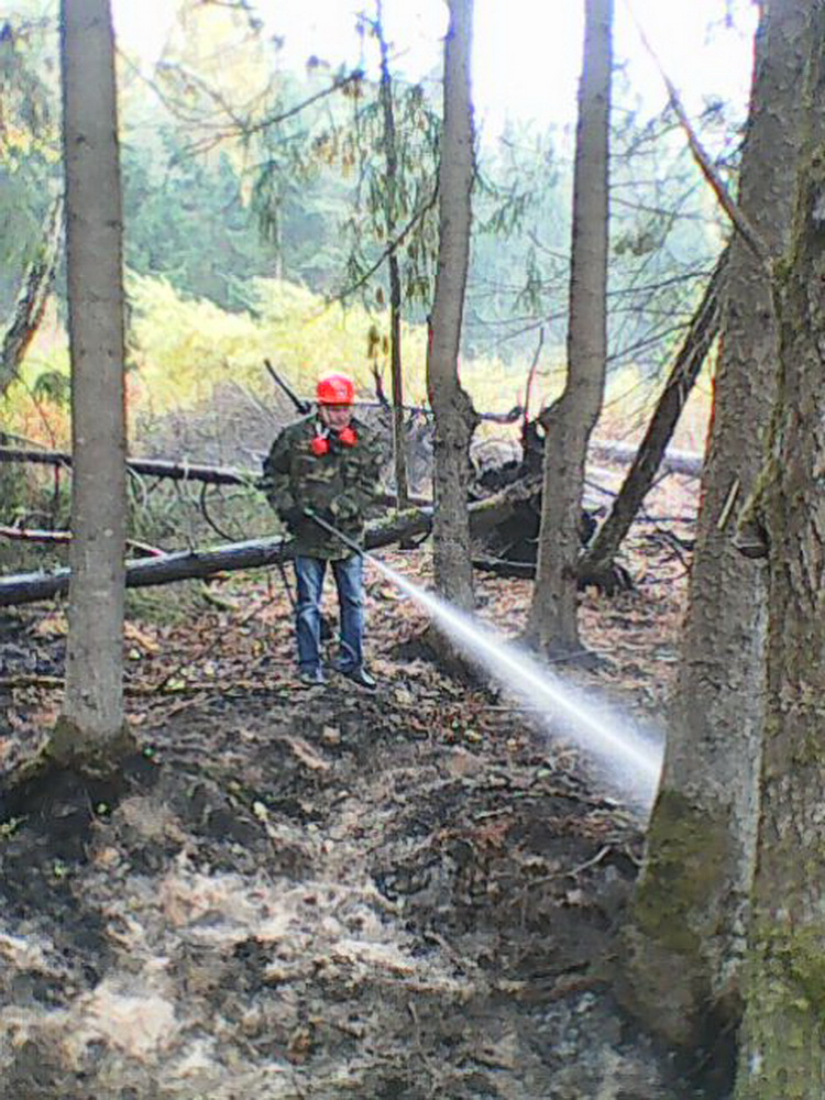 Потушен лесной пожар на территории ГКУ БО "Брянское лесничество" - фото 1