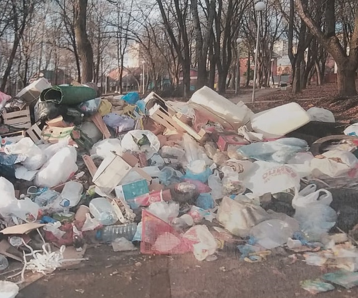 Активисты ОНФ добились разрешения ситуации с ликвидацией контейнерных площадок для мусора в подмосковном Подольске - фото 1