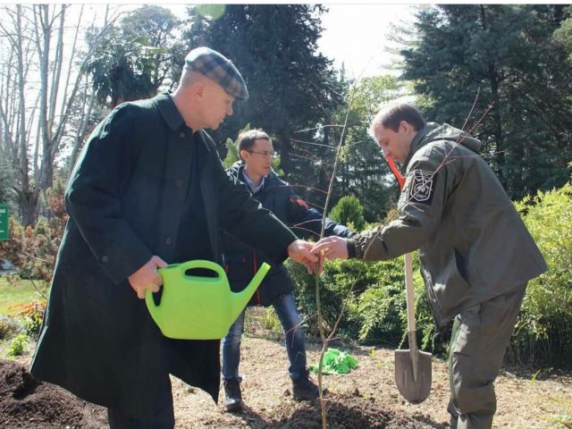 Глава МПР Александр Козлов был замечен в Сочи при посадке деревьев - фото 7