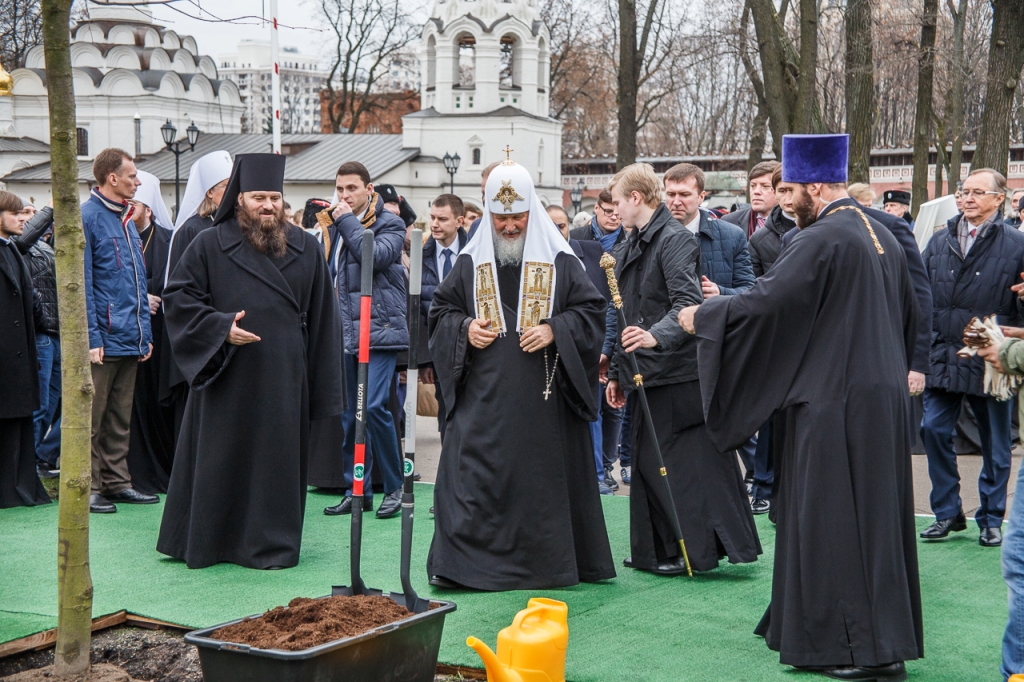 Патриарх Кирилл принял участие в посадке деревьев главной липовой аллеи Донского монастыря - фото 8
