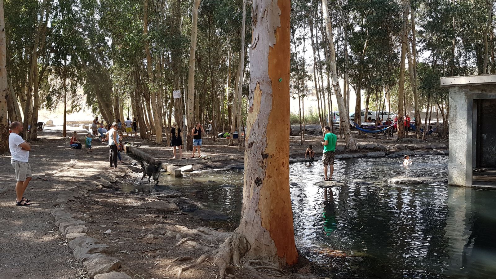 Израиль: Огромный наплыв посетителей в лесах и парках ЕНФ-ККЛ в Суккот - фото 4