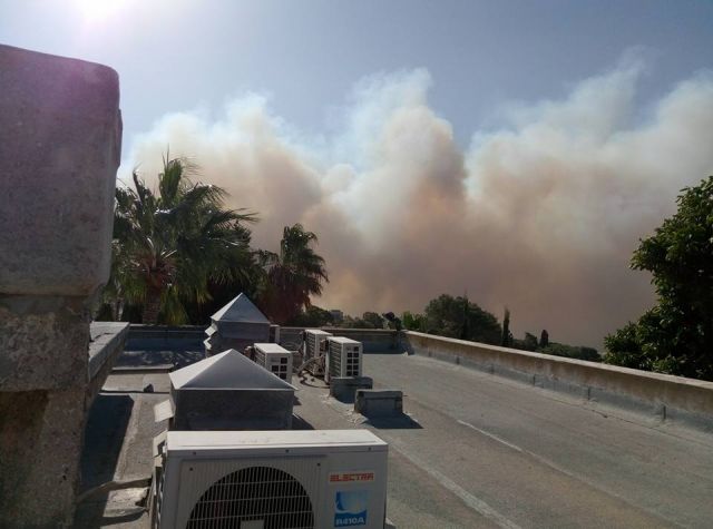 Для разбора причин осенних пожаров израильтяне пригласили экологов со всего мира  - фото 44