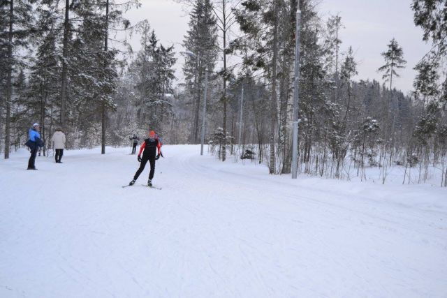 Зеленоград дает старт на новой лыжне по поручению мэра Собянина   - фото 45