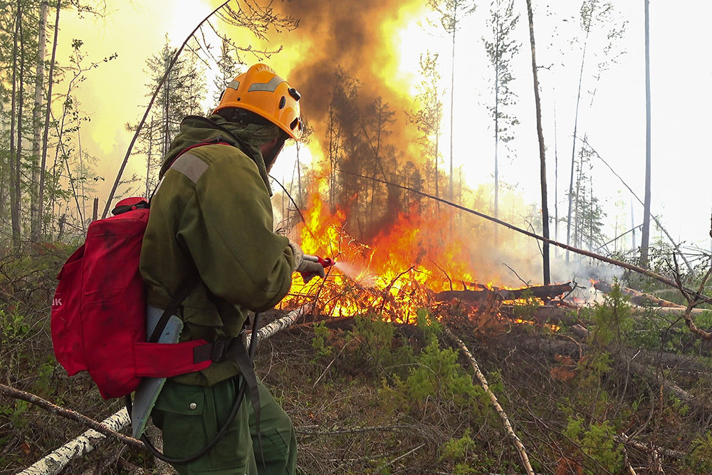 Виктория Абрамченко: Пик лесных пожаров в России пройден - фото 1