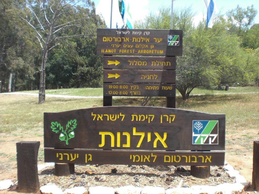 Израиль: Пятничные экскурсии ЕНФ-ККЛ – незабываемые встречи с природой    - фото 2