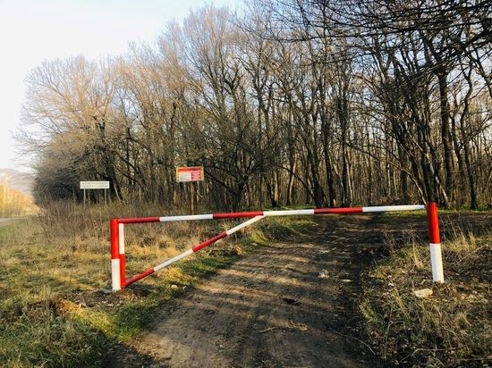 В Липецкой области введено ограничение на посещение лесов - фото 1