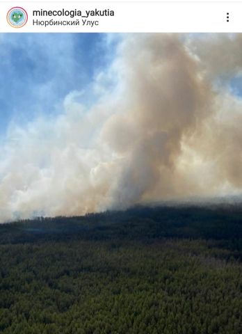 В Якутии тушат 8 лесных пожаров - фото 2