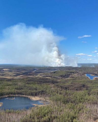 В Якутии тушат 8 лесных пожаров - фото 1