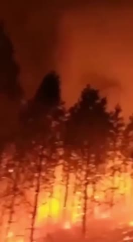 Красноярск замер в ожидании лесных пожаров и оргрешений по ним...  - фото 1