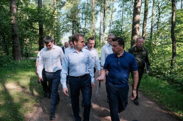 Лесопарковым зонам Московской области предписали служить жителям - фото 1