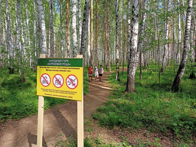 В Европейский день парков защитники берёзой  рощи напомнили о правилах поведения на природе - фото 3
