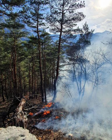 Пожар в заповеднике Северной Осетии не удаётся погасить уже шесть дней - фото 2