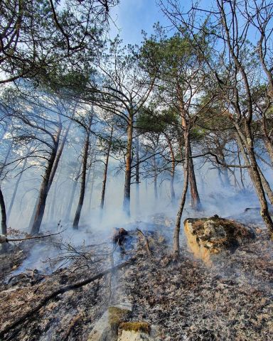 Пожар в заповеднике Северной Осетии не удаётся погасить уже шесть дней - фото 1