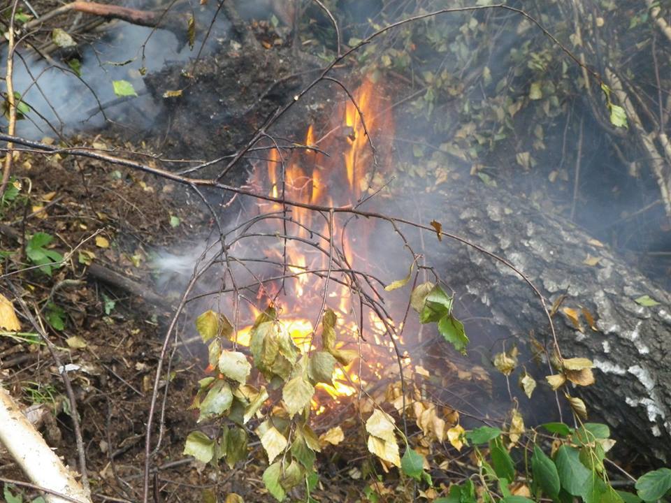 23 августа. Пожары на Байкале продолжают бушевать  - фото 1