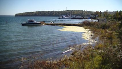 Любовь Аликина сообщает о проведенном водном рейде общественного контрол - фото 14