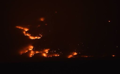 18 августа. пожар на Байкале. Тревожный сигнал из лесничества Татаурово - фото 2
