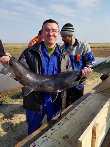 В Волгоградской области экологи спасают рыбу от замора - фото 3