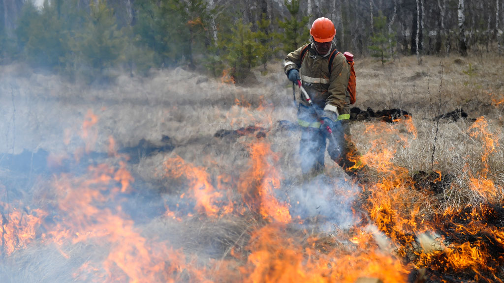 На Тамбовщине успешно ликвидированы два лесных пожара - фото 1