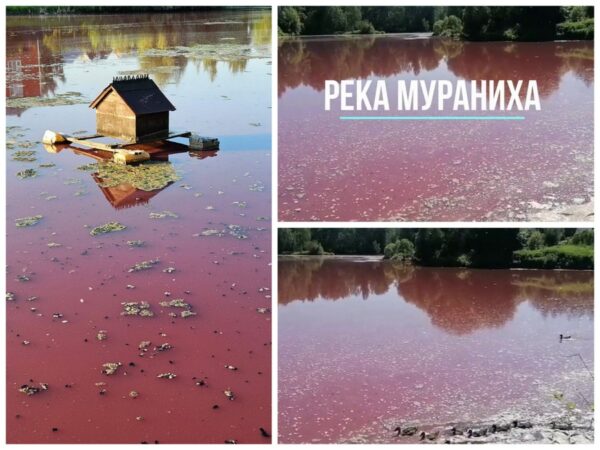 Экологическая катастрофа в Домодедово. ...