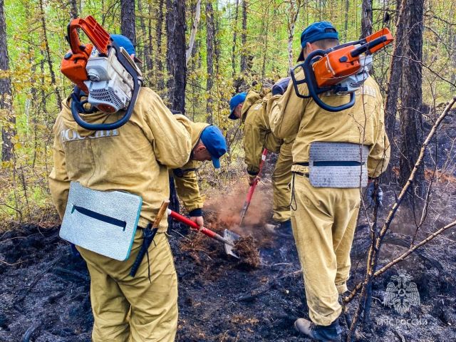 Площадь лесных пожаров в Якутии приближается к миллиону гектар - фото 3