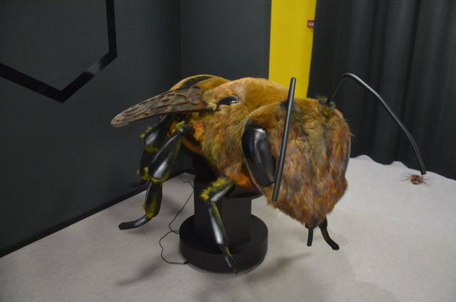 Пчёлы Москвы расскажут о своей любви в Москве в музее «Пчелы» - фото 3