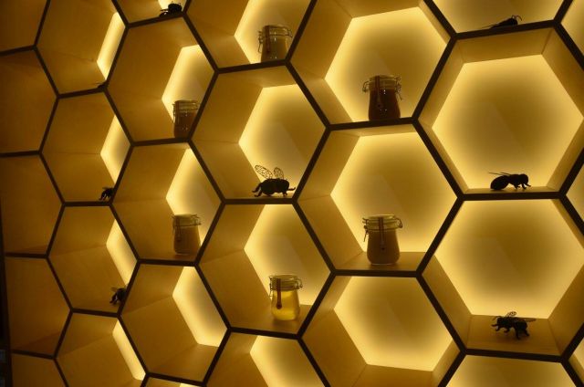Пчёлы Москвы расскажут о своей любви в Москве в музее «Пчелы» - фото 7