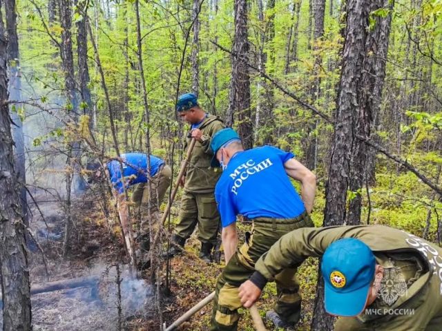 Площадь лесных пожаров в Якутии приближается к миллиону гектар - фото 8